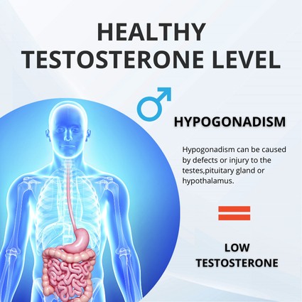 Hospital Product Gallery