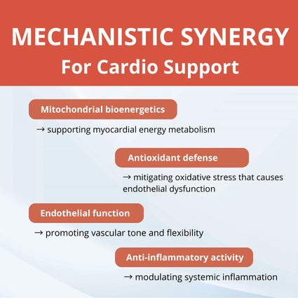 Hospital Product Gallery