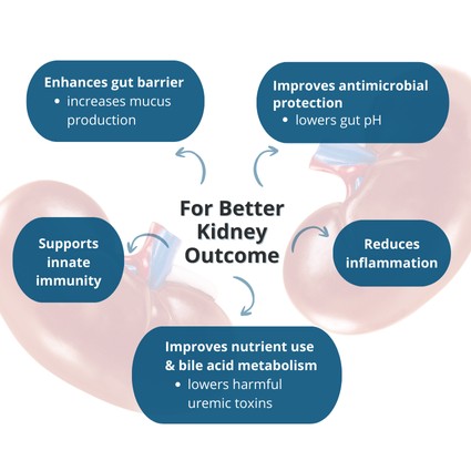 Hospital Product Gallery